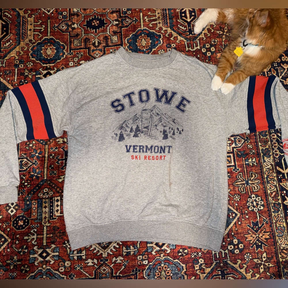 Cotton On Peanuts Gray Sweatshirt
